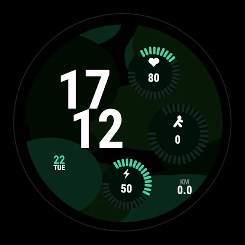 Fern on a Garmin watch
